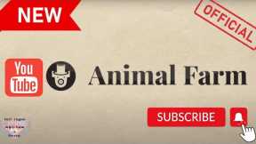 Drip Network New Animal Farm Official YouTube and Interview