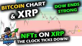 COILING UP for the Bitcoin Price Chart and Altcoin Market as Stock Market Bounces, XRP NFTs APPROACH