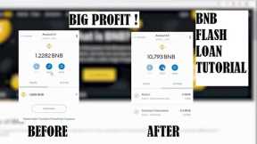 BIG PROFIT! BNB Flash Loan Arbitrage  | 0 Risk Auto Trading Bot | Smart Contract Code in Description