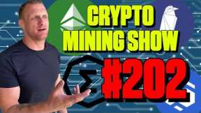 202 - Crypto Mining Has Been Unprofitable For Years