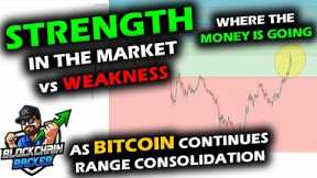 STRENGTH Scattered in Altcoin Market Segments as Bitcoin Price Chart Consolidates, 2018 Flashbacks