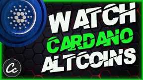 TOP CARDANO ALTCOINS WITH HUGE POTENTIAL