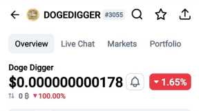 How to spot fake rug pull coin Doge digger and more