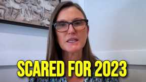 2023 Will Hit Everyone Hard - Cathie Wood & Elon Musk