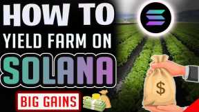 Solana Yield Farming Made Easy!