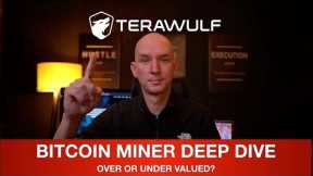 TERAWULF BITCOIN MINER - DEEP DIVE! OVERVIEW, PERFORMANCE, FINANCIALS & CONCERNS! BITCOIN VS MINERS!