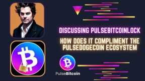 Discussing PulseBitcoinLock: How Does It Compliment PulseBitcoin?