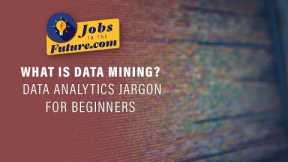 What is Data Mining - Data Science Jargon for Beginners