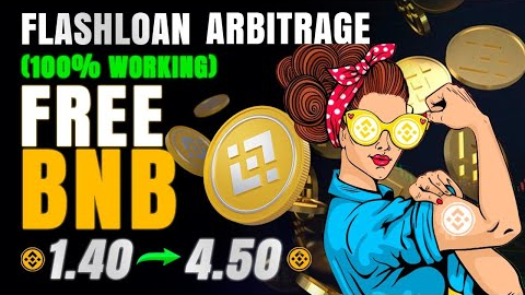 Binance BNB Flash Loan | Borrow $1,000,000 of Cryptocurrency Without  Collaterals