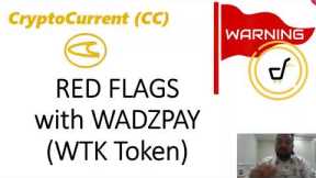RED FLAGS with WadzPay (WTK) token - is it a RUGPULL?