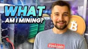 My cryptocurrency miners, what coins I am mining, and how much I am earning