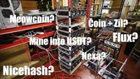 Which 4 coins or mining strategies should I test long term?
