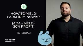 How to Yield Farm on Minswap (Tutorial)
