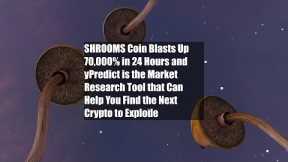 SHROOMS Coin Blasts Up 70,000% in 24 Hours and yPredict is the Market Research Tool that Can Help