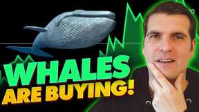 TOP ALTCOIN'S THE WHALES ARE BUYING RIGHT NOW! #Crypto #btc