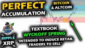TEXTBOOK ACCUMULATION as Altcoin Market and Bitcoin Price Wyckoff Spring Define Shakeout XRP Retrace