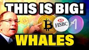 BIGGEST Crypto WIN! Crypto WHALE Bought 182,152 of this Altcoin | BRC20 Ready to Explode!