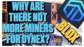 Why Are There Not More Miners For Dynex?