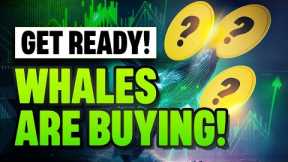 Crypto Whales are SECRETLY Buying These 3 Altcoins 👀