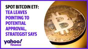Spot bitcoin ETF: Tea leaves pointing to potential approval, strategist says