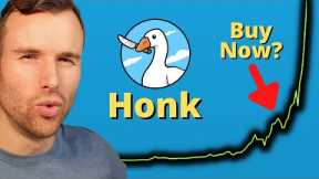 Why Honk is the next Bonk 🤩 Crypto Memecoin Token Analysis