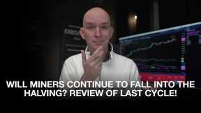 Review of Last Halving Cycle. Will Miners Repeat It Now? Miners Hashrate & BTC 1 Year Review!