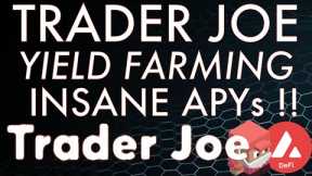 How To Yield Farm On Trader JOE Platform For High Yields! Complete DEFI Guide 2022