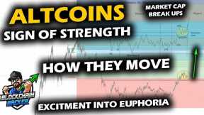 Knocking on the Door of SIGN OF STRENGTH in Altcoin Market as Bitcoin Price Chart Stalls