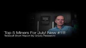 Top 5 Bitcoin Miners In June! New #1!!! Terawulf Short Report By Grizzly Research! Q&A!