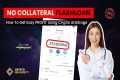 Tutorial Flash Loan No Collateral -