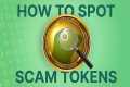 How To Avoid Crypto Scams? Rug Pull,