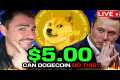 Can Dogecoin Reach $5.00? (THE TRUTH