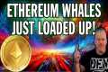 ETHEREUM WHALES JUST LOADED UP! WILL