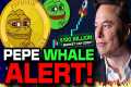 PEPE Crypto WHALE ALERT! (1.4