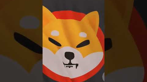Crypto’s wild side 😱📉 From meme coins to meltdowns, here’s what they never tell you #cryptoshorts