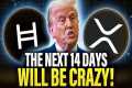Get Ready For The Biggest Crypto