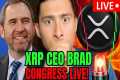 XRP RIPPLE CEO LIVE!🔴XRP EXPLODING