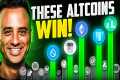 These Altcoins Will Pump The Hardest! 