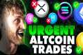 Top Altcoins To URGENTLY Accumulate