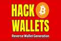 Hack a Bitcoin wallet using