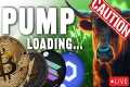 Altcoins Signal Warning &