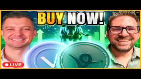 Crypto Projects to Buy (VeChain, Virtuals)