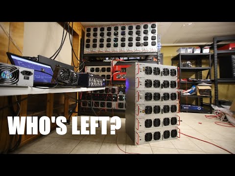 A lot of Crypto Miner's...