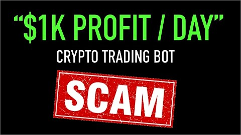 Developer Destroys Flashloan Bot Scam