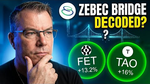 The Missing Bridge Decoded: Zebec Network Market Analysis