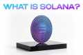 Solana and SOL Explained | 2 Minute