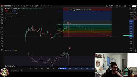Tradoor Crypto Rug Pull: Can It Bounce Back?