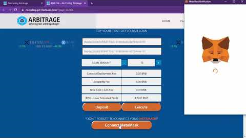 Huge Profits! BNB Flash Loan Arbitrage Pancakeswap Flashloan ! Beginner Guide! No Coding#bnb#crypto