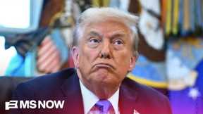 Crypto, The Trump Con and The Golden Age of Scams with Ben McKenzie & Chris Hayes