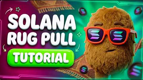 Looking at a Solana Meme Coin Launch | Rug Pull Whisper